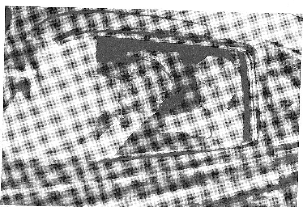Sedly Bloomfield as Hoke with Cynthia Sepe as Daisy in Driving Miss Daisy